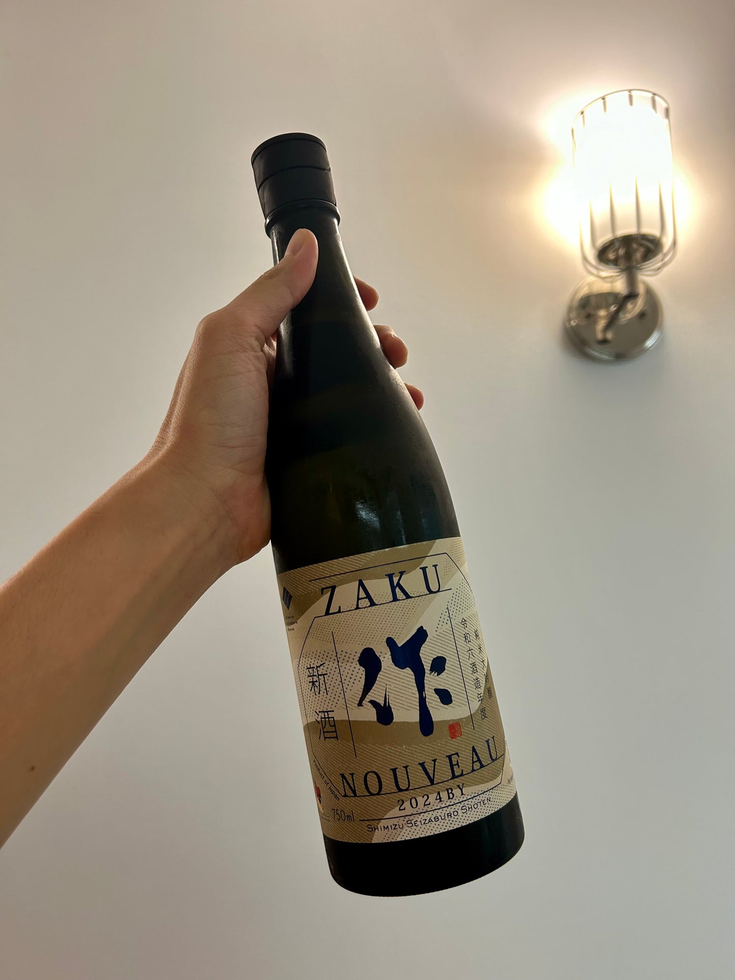 Zaku Nouveau